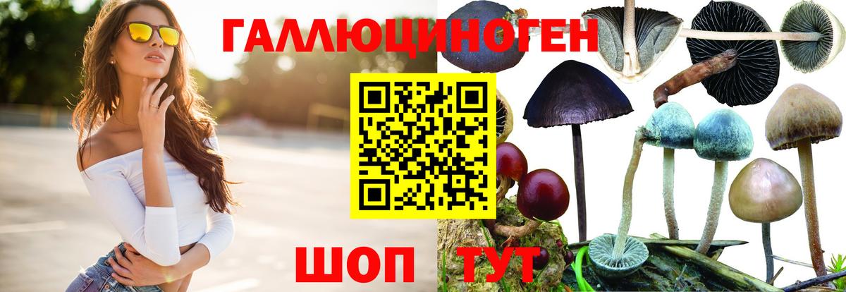 Псилоцибиновые грибы GOLDEN TEACHER  Псилоцибиновые грибы мицелий  Вход с VPN  Каменка 